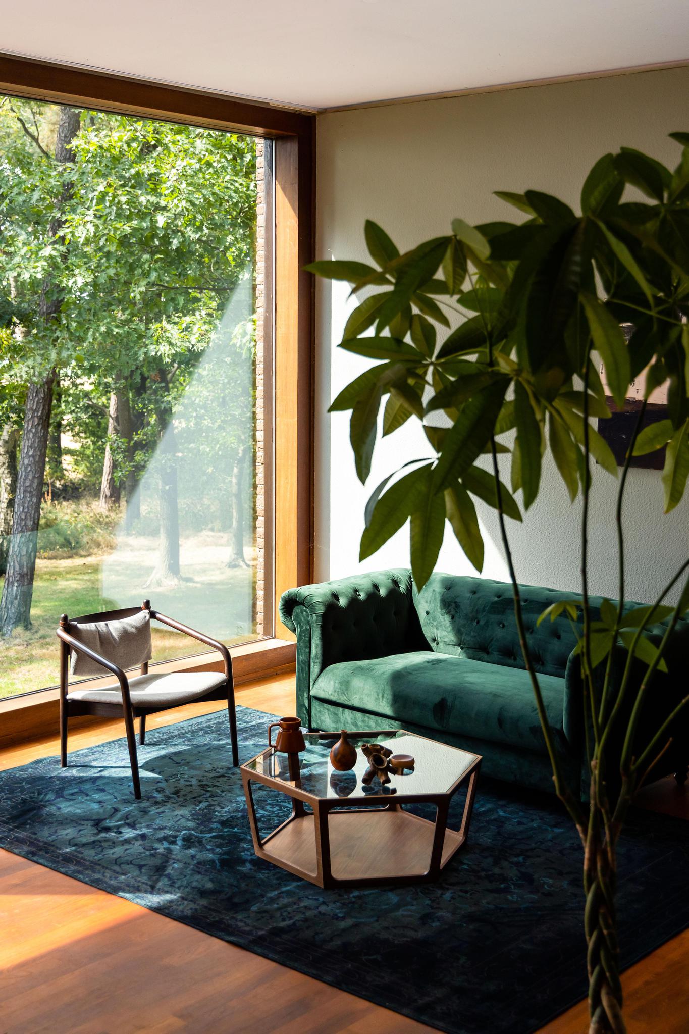 Sita Walnut Coffee Table