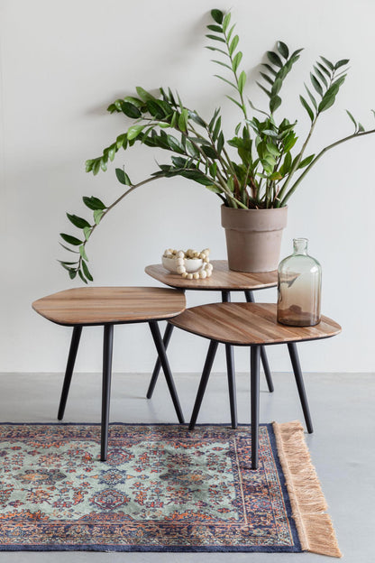 Coffee Table Cuties - Set of 3