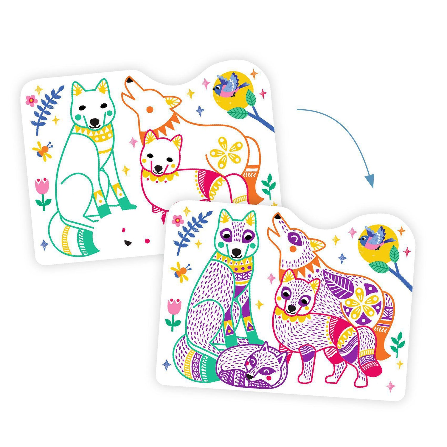 Magic Colouring  - Forest Families