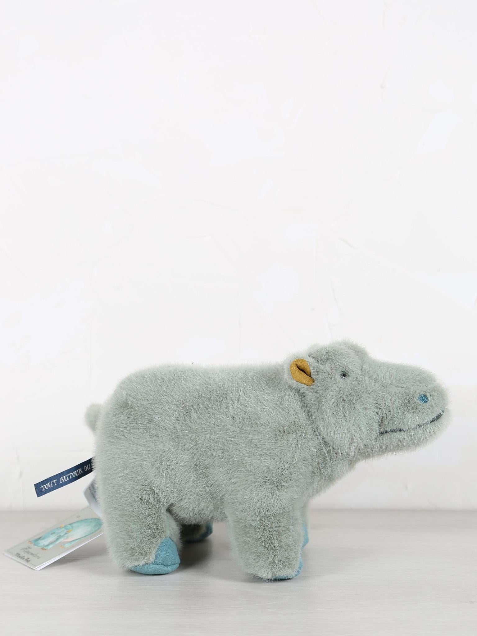Small hippopotamus - Tout autour du monde