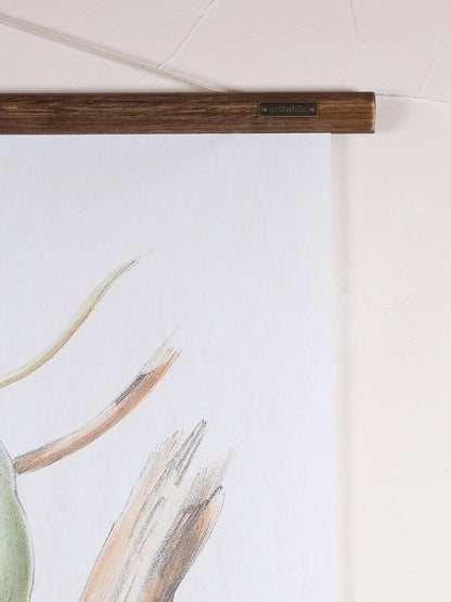 Wall Hanging Black Cockatoo