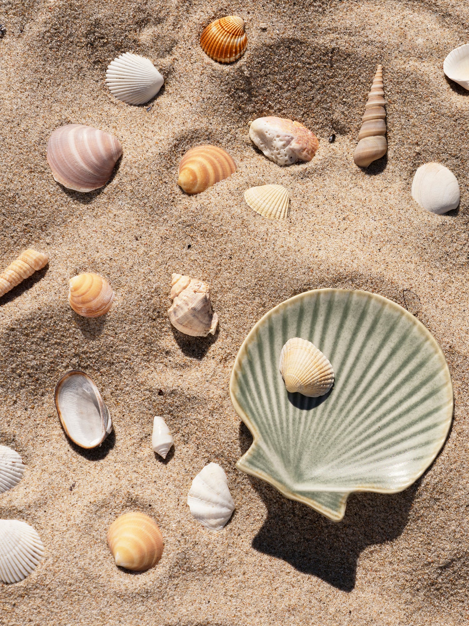 Stoneware Sea Shell Tray - Glazed Green