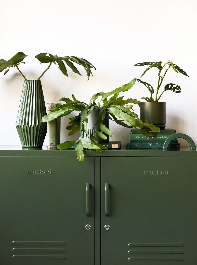 The Lowdown in Olive