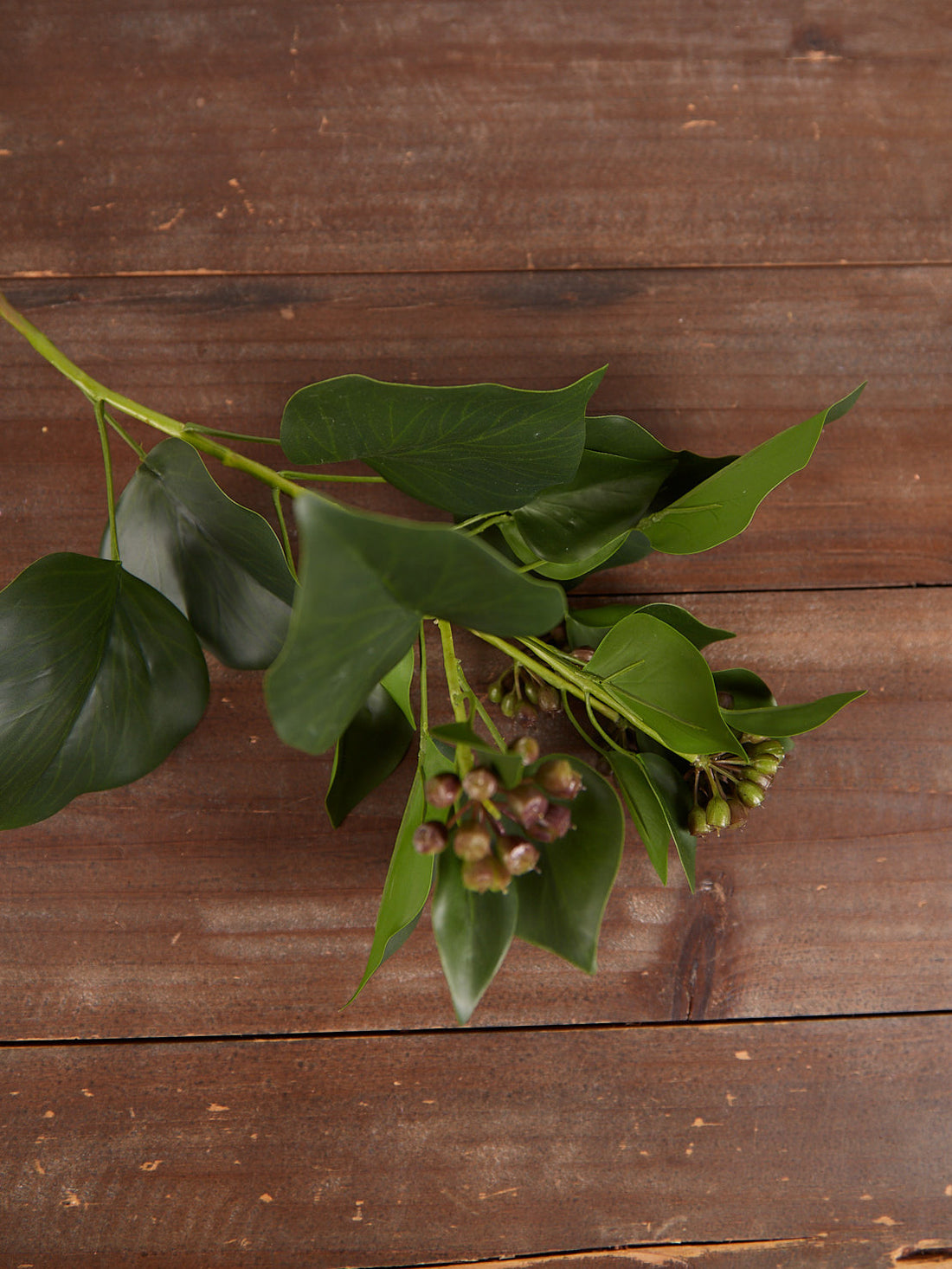 Faux Ivy Leaf With Seeds Stem
