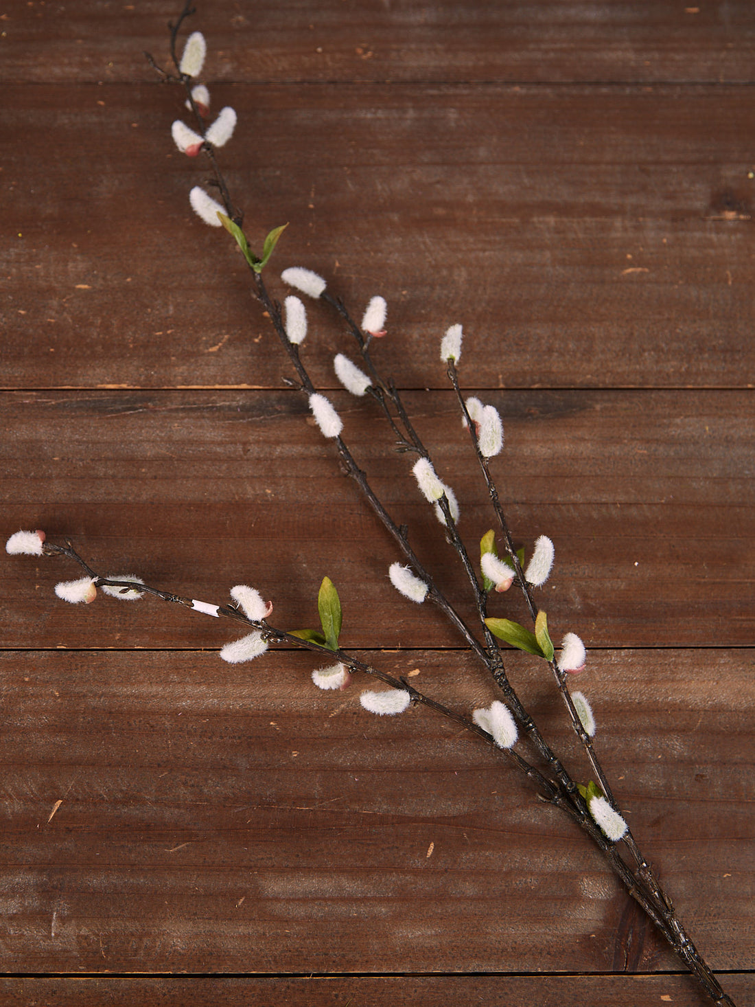 Natural Pussy Willow Stem