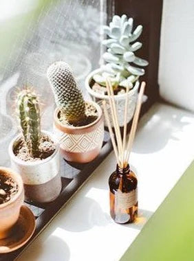 Ojai Lavender Reed Diffuser