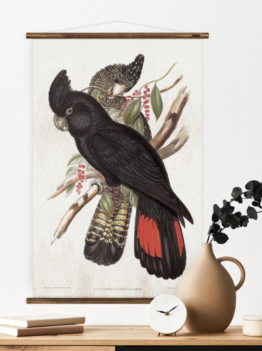 Wall Hanging Black Cockatoo