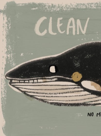 Whale &