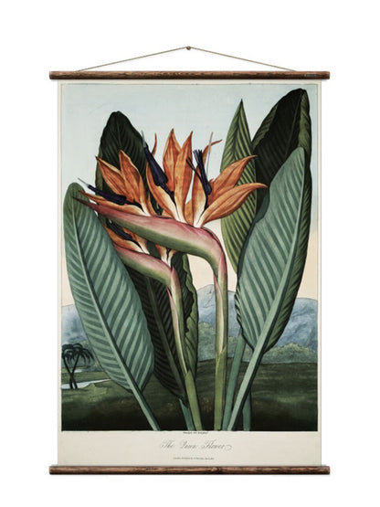 Wall Hanging Bird of Paradise The Queen Flower