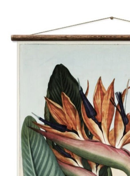Wall Hanging Bird of Paradise The Queen Flower