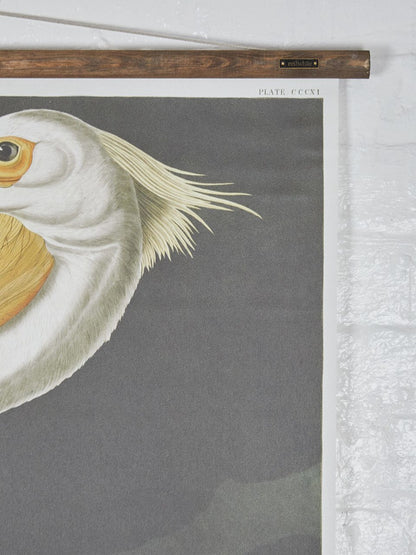Wall Hanging American Pelican
