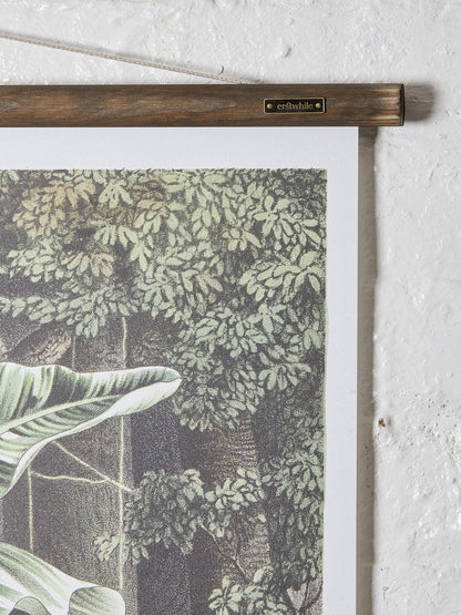 Wall Hanging Musa Vittata